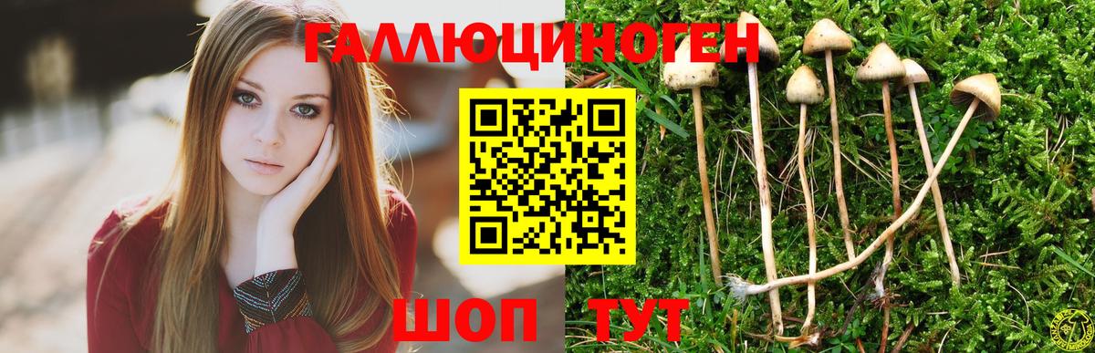 Северобайкальск  Галлюциногенные грибы Psilocybine cubensis  Вход с VPN  Псилоцибиновые грибы Magic Shrooms 
