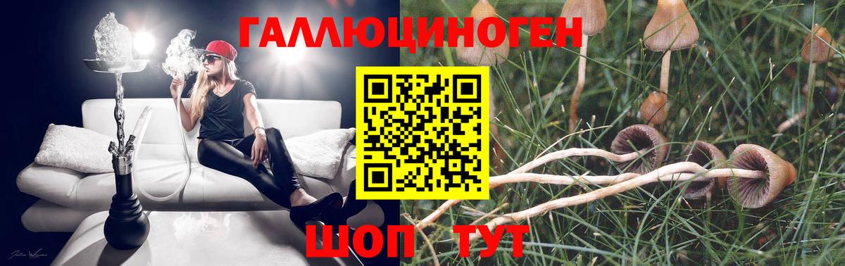 Псилоцибиновые грибы мицелий Северобайкальск